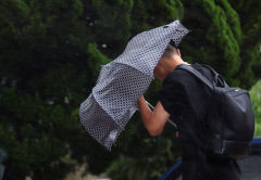 [태풍 카눈] 카눈의 영향으로 KTX·SRT 일부 노선 운행 중단