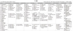 8월13일(일) TV 편성표