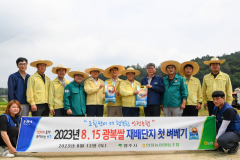 '최초 무장 독립운동단체 결성지'… 영주에서만 생산 '8·15 광복쌀' 첫 수확