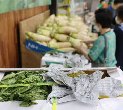장마·폭염에 태풍 겹쳐…농산물값 고공행진