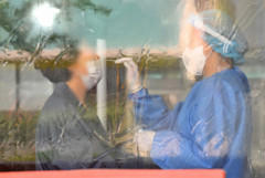 대구, 8월 둘째주 코로나 확진자 1만7천452명…전주 대비 2.5%↓