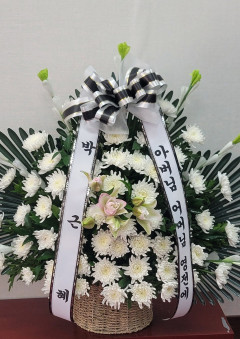 [속보] 박근혜 전 대통령 구미시 상모동 박정희 생가 방문