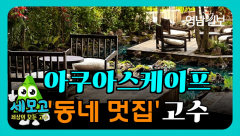[세모고] `동네멋집` 아쿠아스케이프 고수를 만나다.