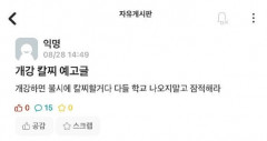 안동의 한 대학서도 '묻지마 칼부림 예고 글'…경찰 IP 추적