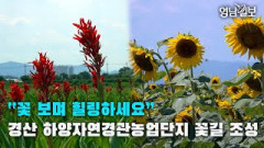 [영상스케치] 