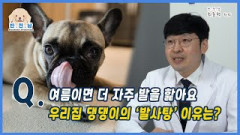 [반.전.남2] 