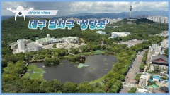 [드론뷰] 하늘에서 본 대구 달서구 성당못