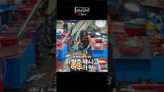 [영상뉴스]포항죽도어시장 차량추락사고로 아수라장