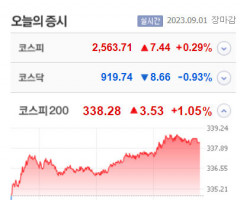 코오롱글로벌우·희림·머큐리 등 7종목 상한가, 넥스트칩·피씨엘·제이티 등 급등 마감