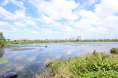 7일 대구경북 가끔 구름 많아…낮 기온 27~30℃