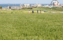 포항 호미곶, 로컬맥주 성지로 거듭난다