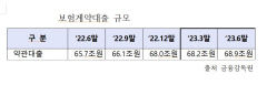 ＂급전이 필요해서 …＂경기불황에 보험 약관대출·해지 증가
