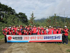 국민의 힘 고령군 성주군 칠곡군 당원협의회 봉사단 '경북 성주 사과농장에서 봉사활동 펼쳐'