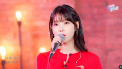 아이유, '팬 콘서트'  관전 포인트 공개…유애나 예열 완료
