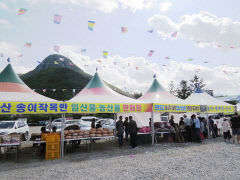 청도 운문산 송이·능이·표고버섯 축제…추석연휴 내달 1~3일 개최