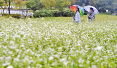 26일 대구경북 가끔 비소식…낮 최고기온 21~24℃