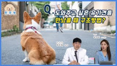 [반.전.남2] 도와주고 싶은 유기견을 만났을때 구조방법?