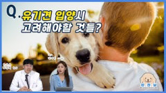 [반.전.남2]  Q. 유기견 입양 시 고려해야 할 것들은?|