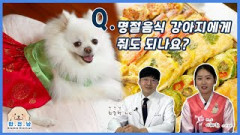 [반.전.남2] Q. 명절 음식 강아지에게 줘도 되나요?