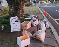 영천시청 주차장은 쓰레기 불법 투기장?