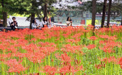 10일 대구경북 가끔 구름 많은 날씨…낮 최고기온 20~24℃