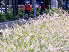 16일 대구경북 대체로 맑아…낮 최고기온은 19~22℃