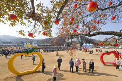 [세계로 가는 청정관광1번지 산소카페 청송 .10] 청송사과축제