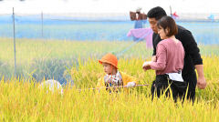 18일 대구경북 대체로 맑아…낮 최고기온 20~25℃