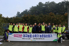 대구농협, 감 수확철 맞아 청도서 농촌일손돕기 진행