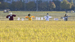 26일 대구경북 가끔 구름 많고 비 소식도 있어… 낮 최고기온 20~25℃