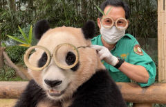 [트렌드 트립] 인기 웹툰의 드라마화 '낮에 뜨는 달' 공개…푸바오 본 세상 '전지적 푸바오 시점' 출간