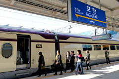 포항 출발 KTX, 멧돼지와 충돌…1시간 운행 지연