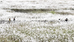 30일 대구경북 구름이 많다가 밤부터 맑아져…낮 최고기온은 20~23℃