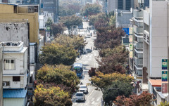 [포토뉴스] 대구 중구 대중교통전용지구 북편구간 14년 만에 해제