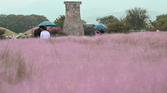 5일 낮 대구경북 대부분 비…밤부터 내일 사이 강한 비 유의