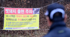 대구 신천에 멧돼지 두마리 출몰…앞산으로 도망가
