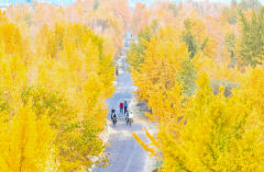 9일 대구경북 대체로 맑다가 오후부터 점차 흐려져…낮 기온 17~22℃