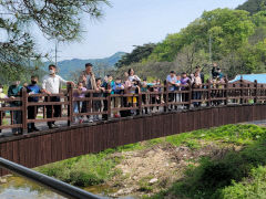 신나는 작은 학교, 화북초등학교