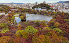 [포토뉴스] 만추의 대구 성당못