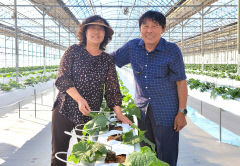 경북 상주 김인남씨, 대한민국 최고농업기술명인 선정
