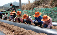 AI교육 빛나는 상주 산골학교 화북초등