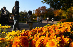 14일 대구경북 대체로 맑다가 밤부터 구름 많아…낮 최고기온 9~14℃