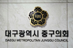 '구의원이 구청과 수의계약 17건'…대구 중구의회, 징계안 상정