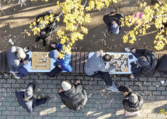 21일 대구경북 대체로 맑아…낮 최고기온 14~19℃