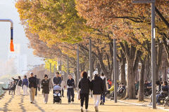 [포토뉴스] 포근한 날씨 속 수성못 산책하는 대구 시민들