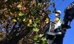 23일 대구경북 대체로 흐려…낮 최고기온 14~21℃