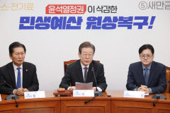 민주당, 권리당원 비중 강화안 당무위 의결…비명 