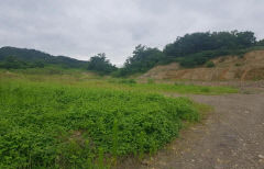 [공매 정보] 성주군 대가면 용흥리 440