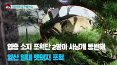 [시도때도없는 뉴스11.15] 엽총 소지 포획단 2명이 사냥개 동반해 앞산 일대 멧돼지 포획