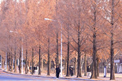 5일 대구경북 포근한 날씨…낮 최고기온 11~16℃